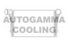 AUTOGAMMA 105519 Intercooler, charger